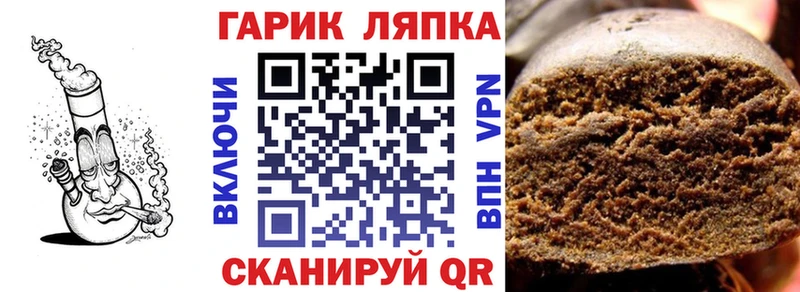 дарнет шоп  Нестеров  ГАШ Premium 