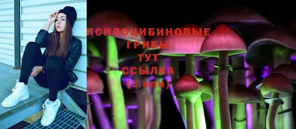 трава Абаза