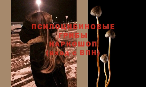 трава Абаза