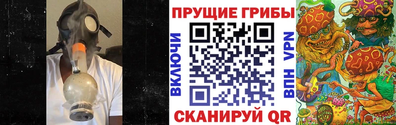 KRAKEN вход  Нестеров  Галлюциногенные грибы ЛСД 