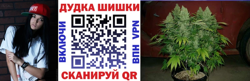 купить  сайты  Нестеров  МАРИХУАНА ГИДРОПОН 